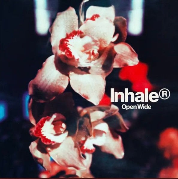 INHALER – OPEN WIDE (2025) - LP SIFIR PLAK