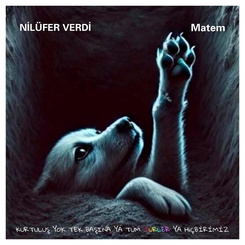 NİLÜFER VERDİ - MATEM (2026) SIFIR YERLİ PLAK
