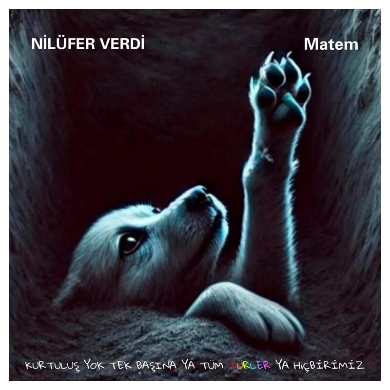 NİLÜFER VERDİ - MATEM (2026) SIFIR YERLİ PLAK