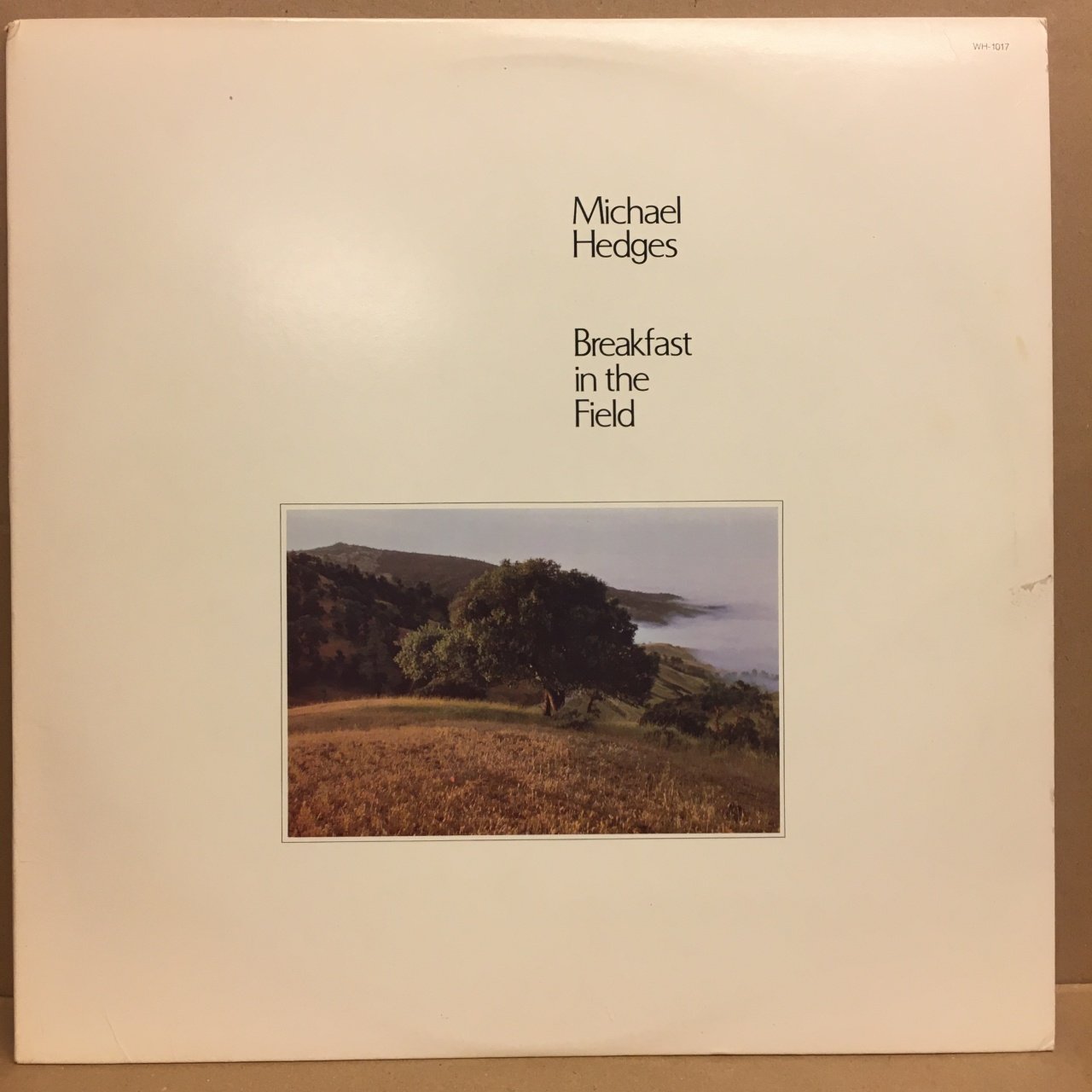 MICHAEL HEDGES - BREAKFAST IN THE FIELD 1981 2.EL PLAK