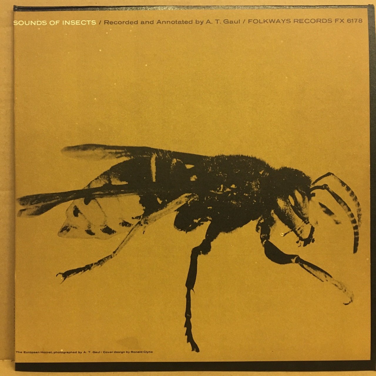 TÜRLÜ TÜRLÜ SİNEK SESLERİ SOUNDS OF INSECTS (1960) 2.EL PLAK