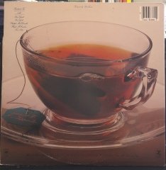 RICHARD TEE - NATURAL INGREDIENTS (1980) - PLAK 2.EL