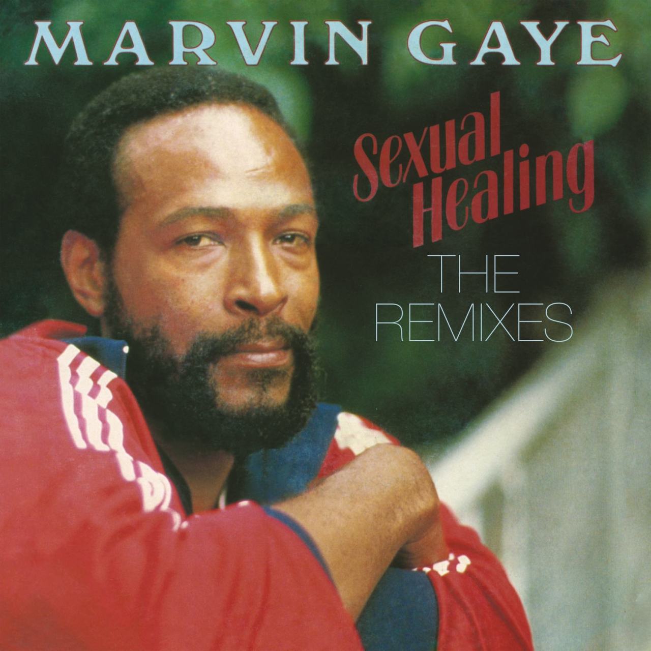 MARVIN GAYE - SEXUAL HEALING: THE REMIXES - SIFIR PLAK
