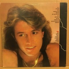ANDY GIBB - AFTER DARK 1980 2.EL PLAK BEE GEES