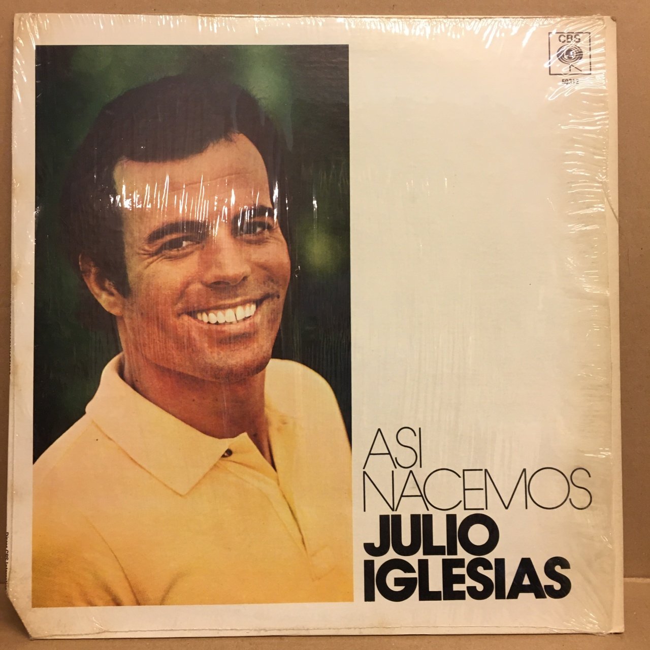 JULIO IGLESIAS - ASI NACEMOS (1980) - PLAK 2.EL
