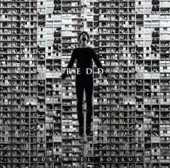 REDD - MÜKEMMEL BOŞLUK (2016) - LP 2024 BASKI SIFIR PLAK