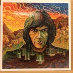 NEIL YOUNG - NEIL YOUNG (1968) 2009 REISSUE 180 GR 2.EL PLAK