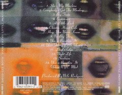 DAVID LEE ROTH - YOUR FILTY LITTLE MOUTH (1994) - CD SIFIR