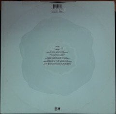RODEO JONES - NATURAL WORLD (1993) - 12'' MAXI SINGLE PLAK 2.EL