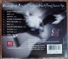 JESSE COOK - GRAVITY (1996) NARADA CD 2.EL