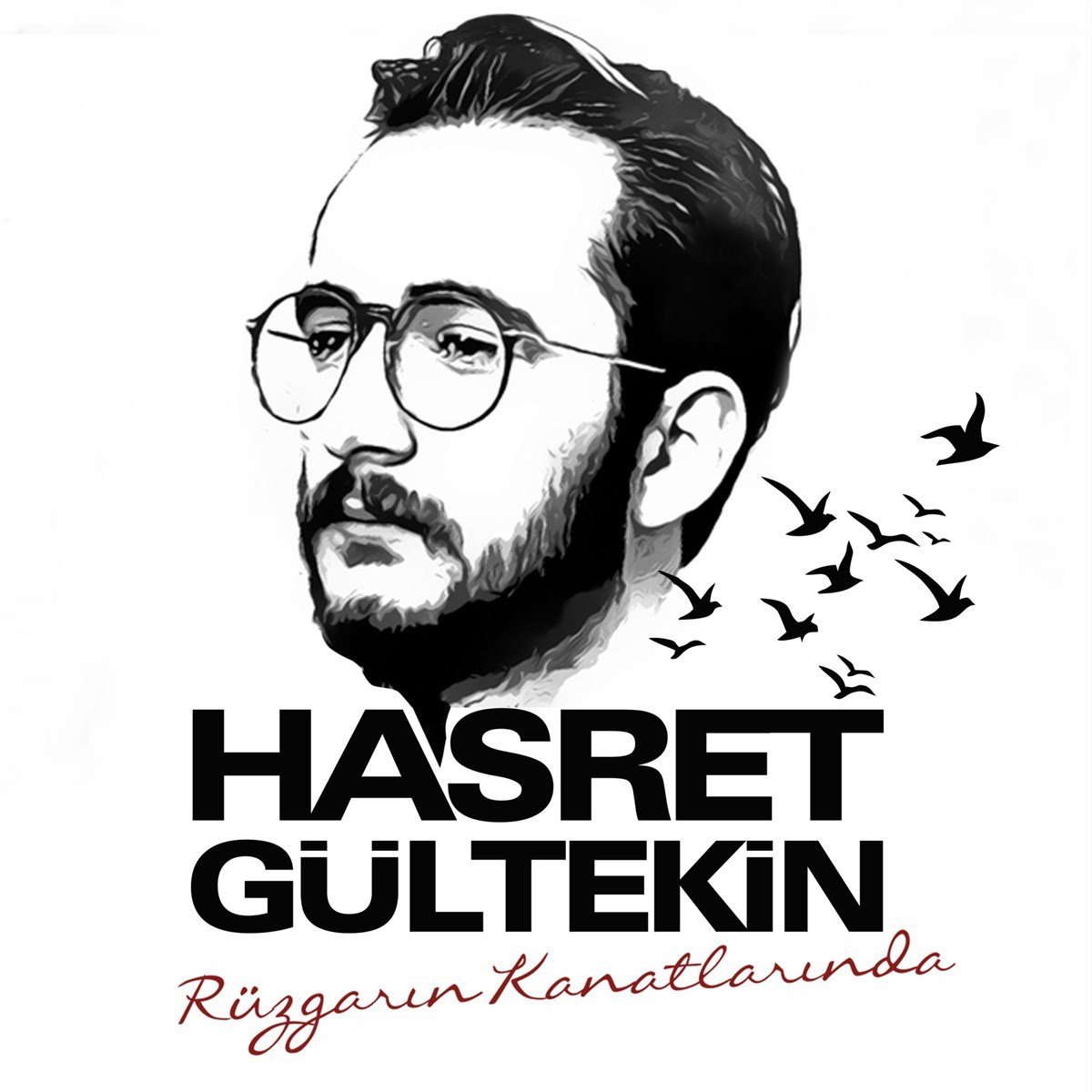 HASRET GÜLTEKİN - RÜZGARIN KANATLARINDA - LP SIFIR PLAK