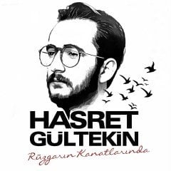 HASRET GÜLTEKİN - RÜZGARIN KANATLARINDA - LP SIFIR PLAK