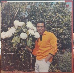JOHNNY MATHIS - SINGS - PLAK 2.EL