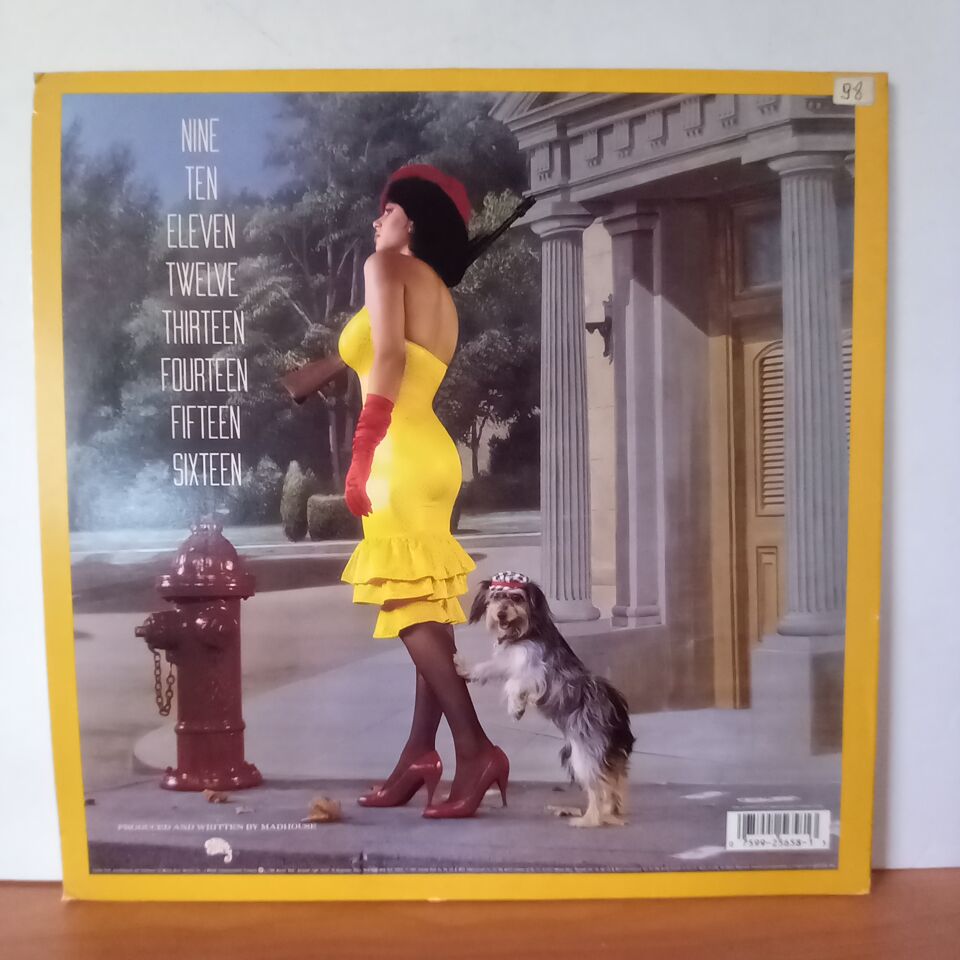MADHOUSE – 16 / NEW DIRECTIONS IN GARAGE MUSIC (1987) - LP 2.EL PLAK