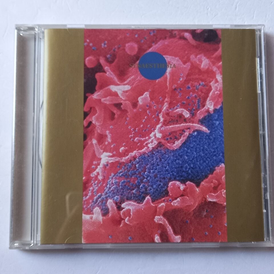 DEATH AMBIENT – SYNAESTHESIA (1999) - CD 2.EL