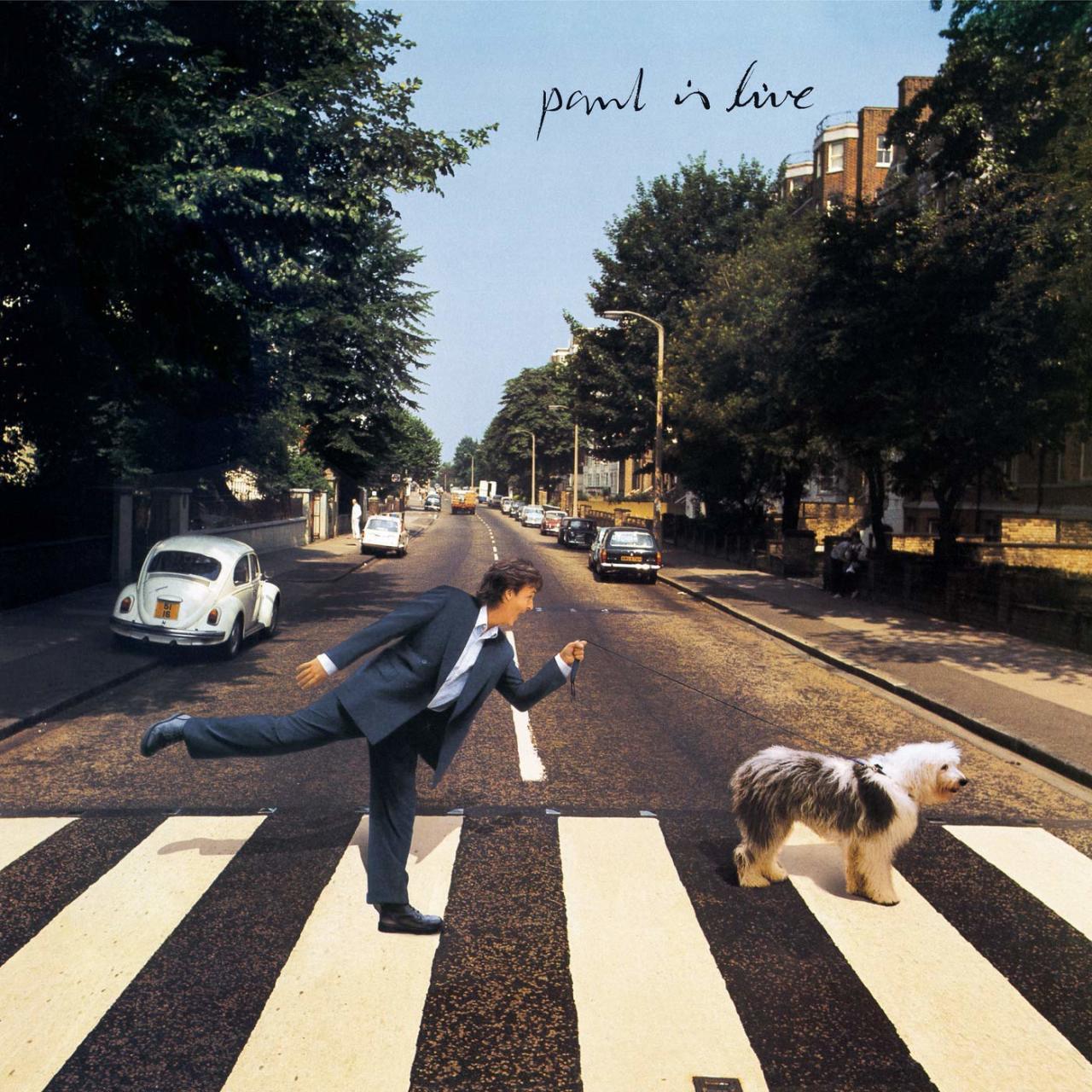 PAUL MCCARTNEY - PAUL IS LIVE (1993) - 2LP 180GR COLORED 2019 EDITION SIFIR PLAK