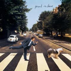 PAUL MCCARTNEY - PAUL IS LIVE (1993) - 2LP 180GR COLORED 2019 EDITION SIFIR PLAK