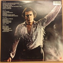 NEIL DIAMOND - HOT AUGUST NIGHT II RECORDED LIVE 1987 2.EL 2PLAK