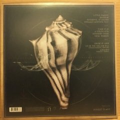 ROBERT PLANT - LULLABY AND.. THE CEASELESS ROAR 2014 2.EL 2PLAK