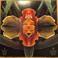 HUBERT LAWS - LAND OF PASSION (1979) 2.EL PLAK
