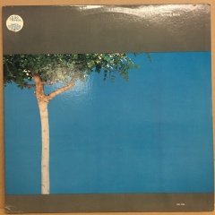 ALEX DEGRASSI - TURNING: TURNING BACK 1978 WINDHAM HILL 2.EL PLAK AKUSTİK GİTAR