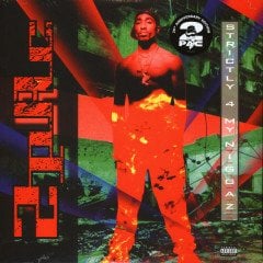 2PAC (TUPAC) - STRICTLY 4 MY NIGGAZ (1993) - 2LP HIP HOP 2018 EDITION SIFIR PLAK