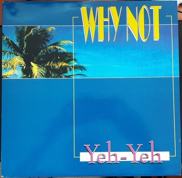WHY NOT - YEH-YEH (1992) - 12'' MAXI SINGLE PLAK 2.EL