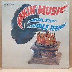 THE TREBLE TEENS OF STEINBACH - MAKIN' MUSIC WITH THE TREBLE TEENS (1978) - LP DÖNEM BASKISI SIFIR PLAK