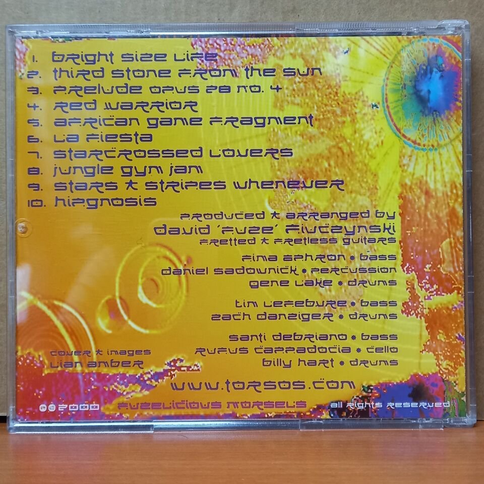 DAVID FIUCZYNSKI - JAZZ PUNK (2000) - CD 2.EL