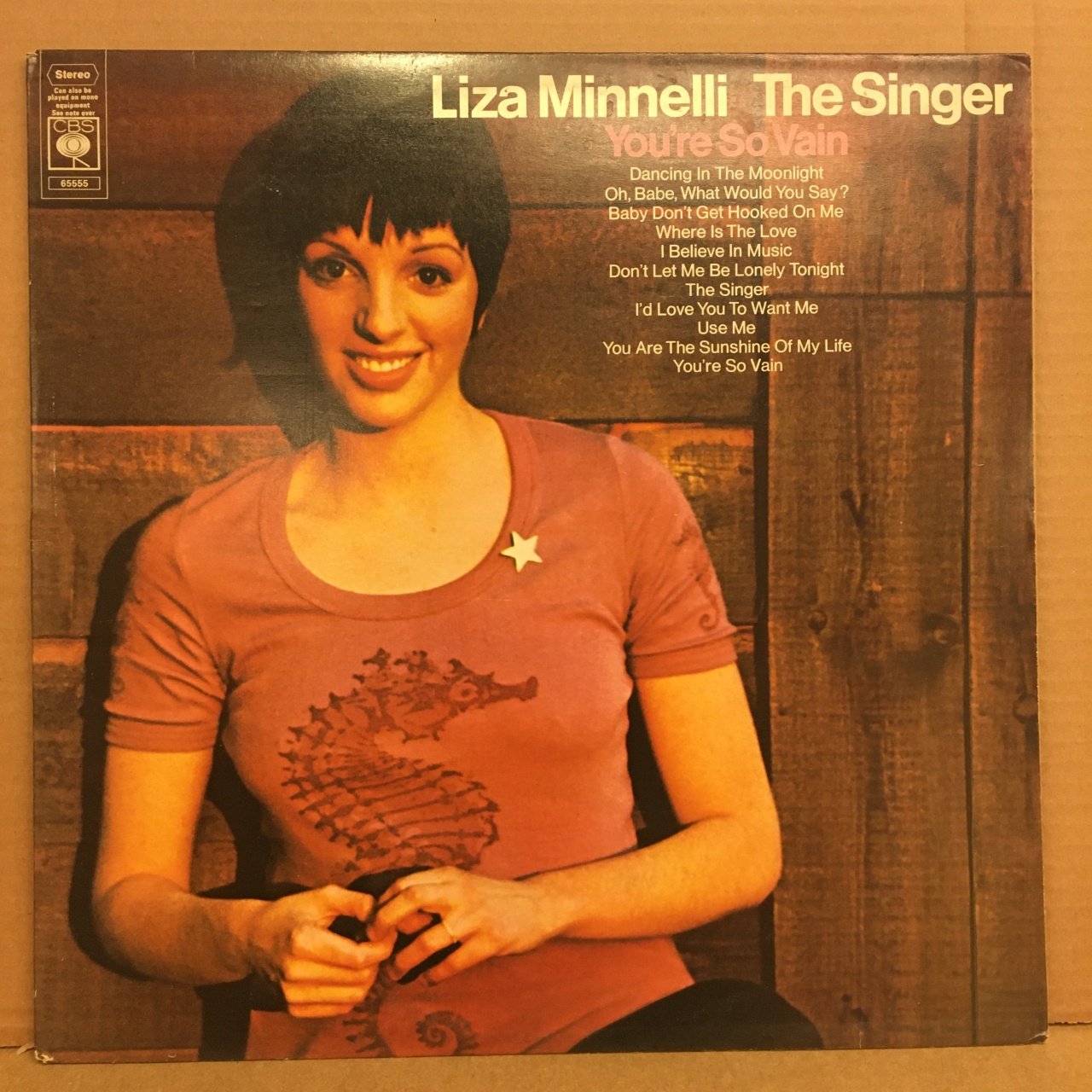 LIZA MINNELLI - THE SINGER YOU'RE SO VAIN 2.EL PLAK