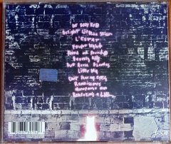 ARIEL PINK'S HAUNTED GRAFFITI - BEFORE TODAY (2010) - CD 4AD 2.EL