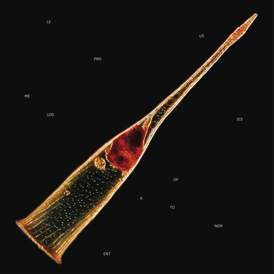 LEPROUS - MELODIES OF ATONEMENT (2024) - CD JEWEL CASE AMBALAJINDA SIFIR