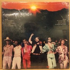 BOB SEGER & THE SILVER BULLET BAND - STRANGER IN TOWN (1978) - PLAK 2.EL