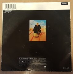 BLACK - WONDERFUL LIFE / LIFE CALLS  - 7'' 45 DEVİR 2.EL PLAK