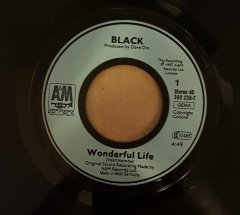 BLACK - WONDERFUL LIFE / LIFE CALLS  - 7'' 45 DEVİR 2.EL PLAK