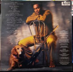 DWIGHT SILLS - DWIGHT SILLS (1990) - PLAK 2.EL