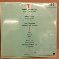 TEDDY PENDERGRASS - JOY 1988 2.EL PLAK