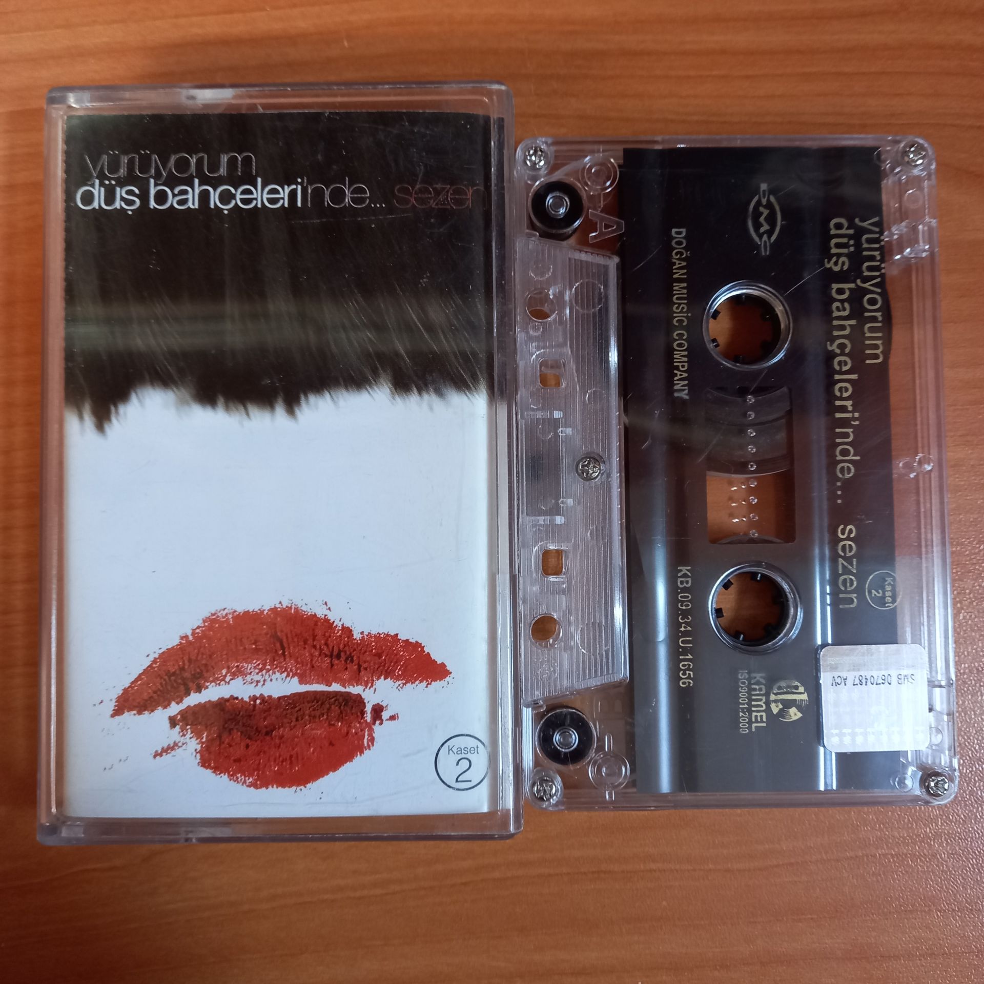 SEZEN AKSU - YÜRÜYORUM DÜŞ BAHÇELERİNDE / KASET 2 (2009) - KASET 2.EL