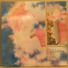 DOLLY PARTON - HEART BREAKER (1978) - PLAK 2.EL