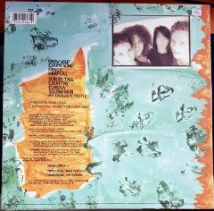 HUGO LARGO - DRUM (1988) PLAK 2.EL PROMO COPY
