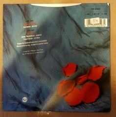 FAIRGROUND ATTRACTION - A SMILE IN A WHISPER / WINTER ROSE - 7'' 45 DEVİR 2.EL PLAK