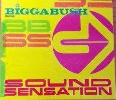 BIGGABUSH - SOUND SENSATION (2005) STEREO DELUXE REC. CD REGGAE DUB 2.EL