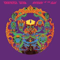GRATEFUL DEAD - ANTHEM OF THE SUN (1968) - PICTURE DISC PLAK