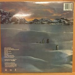 BEACH BOYS - KEEPIN' THE SUMMER ALIVE 1980 2.EL PLAK