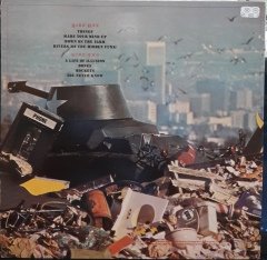 JOE WALSH - THERE GOES THE NEIGHBORHOOD (1981) - PLAK 2.EL