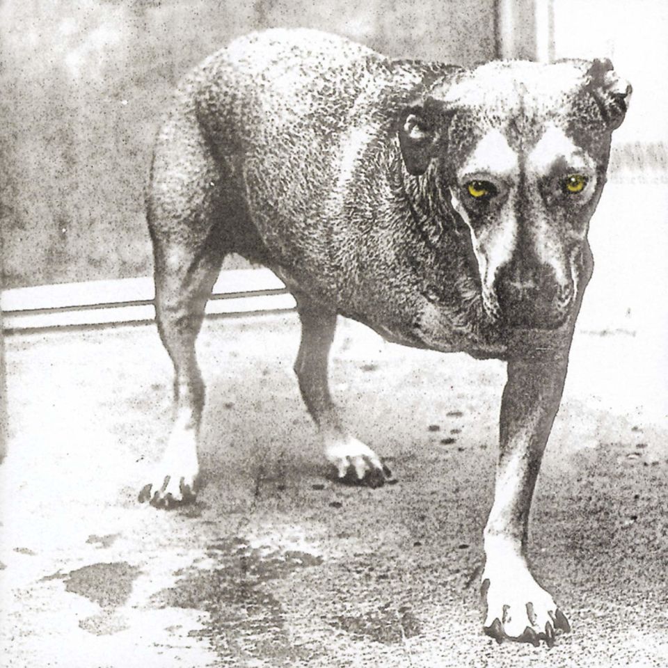 ALICE IN CHAINS - ALICE IN CHAINS (1995) - CD REISSUE JEWEL CASE AMBALAJINDA SIFIR