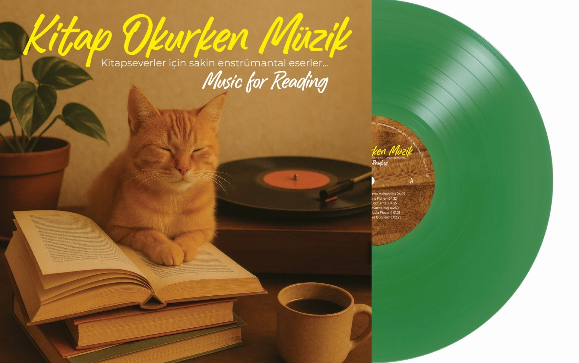 KİTAP OKURKEN MÜZİK - KİTAPSEVERLER İÇİN SAKİN ENSTRÜMANTAL ESERLER / MUSIC FOR READING - LP 2025 BASIM YEŞİL RENKLİ SIFIR PLAK