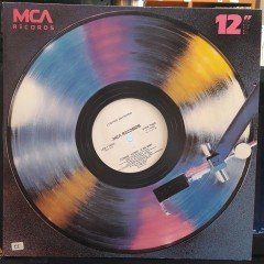 LYNYRD SKYNYRD - GIMME BACK MY BULLETS-COMIN' HOME (1988) - 12'' MAXI SINGLE VINYL PLAK 2.EL