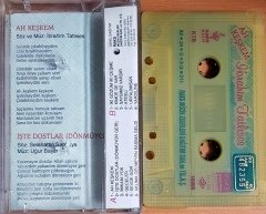 EZGİNİN GÜNLÜĞÜ - İSTAVRİT (1999) YENİ DÜNYA MÜZİK KASET 2.EL