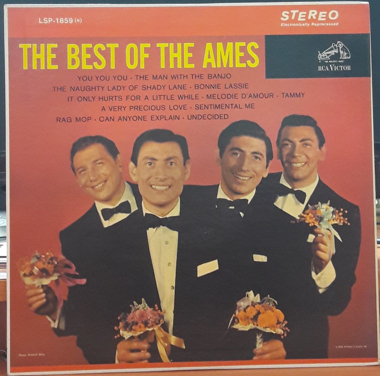 THE BEST OF THE AMES - PLAK 2.EL